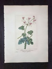1836 bessa original d'occasion  Paris-