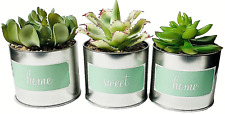 Faux succulents tin for sale  Las Vegas