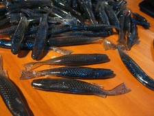 Flat nose minnows for sale  Hummelstown