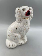 Staffordshire spaniel dog for sale  GLASGOW