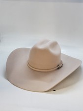 Idyllwind carrington silverbel for sale  Conover