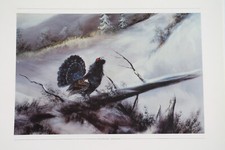 Birkhahn balz winter gebraucht kaufen  Lychen