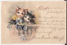 Katzen kleiner katzengruß gebraucht kaufen  Rötha