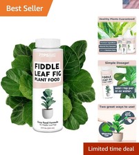 Natural fiddle leaf for sale  Tinley Park