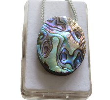 Paua muschel abalone gebraucht kaufen  Ering