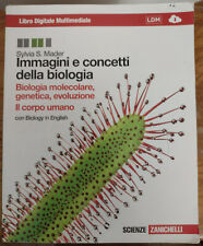 9788808106995 immagini concett usato  Castelnuovo Magra