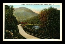 Usado, CARTÃO POSTAL NÃO PUBLICADO VISTA DA TRILHA DO MOICANO PERTO DE MODELO FLORESTA BERÇÁRIO MASSACHUSETTS comprar usado  Enviando para Brazil