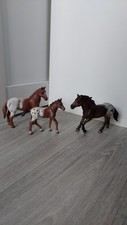 Schleich appaloosa wildpferd gebraucht kaufen Schleich appaloosa wildpferd gebraucht kaufen  Wittenburg