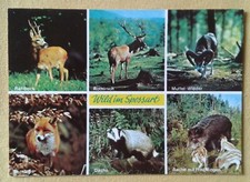 Alte wild spessart gebraucht kaufen  Meiningen
