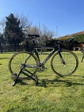 Quintana roo caliente for sale  STOCKTON-ON-TEES
