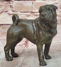 Chinese shar pei for sale  Westbury