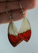 Hrhänger echte schmetterling gebraucht kaufen  Nördlingen