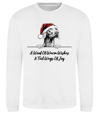 Vizsla christmas dog for sale  PONTYPRIDD