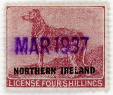 northern ireland dogs for sale northern ireland dogs for sale LEOMINSTER