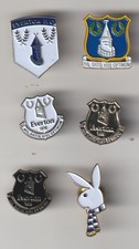 Everton f.c. enamel for sale  HUNTINGDON