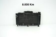 Radiatore acqua 8.000 usato  Italia