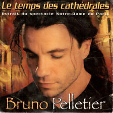 Bruno pelletier temps d'occasion  Givors