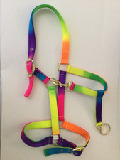 quick hitch harness for sale  NORTHAMPTON