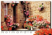 Normandie maison fleurie d'occasion  France