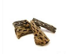 Cholla cactus wood for sale  CREDITON