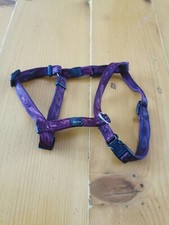 Harnais petit chien d'occasion  Alençon