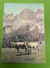 1969 fiera bolzano usato  Ravenna