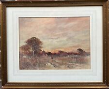 Harry woods sunrise for sale  HASSOCKS