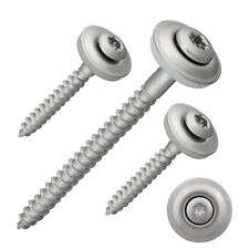 Vite spazzatrice torx usato  Spedire a Italy