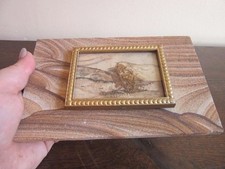 Pressed dried desert for sale  Cincinnati