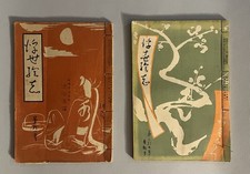 Set due libri usato Set due libri usato  Italia