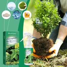 Chlorophyll spray flowers for sale  USA