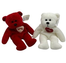Teddy bear valentine for sale  Auburn