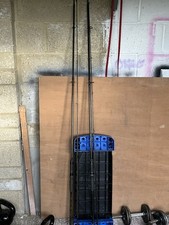 12ft daiwa pike for sale  SWINDON