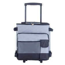 43l cool bag for sale  LEICESTER