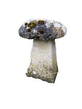 Staddle stone original for sale  SIDMOUTH