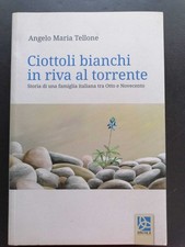 Ciottoli bianchi riva usato  Italia