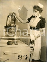 1954 wolverhampton premature usato  Milano