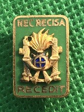 Distintivo pin fregio usato  Vistrorio