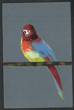 Birds exotic multicoloured for sale Birds exotic multicoloured for sale  BASINGSTOKE