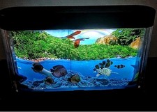 Usado, Lâmpada de luz noturna para aquário de peixes tropicais oceânicos bateria op,!!!!Peixe não se move!!!! comprar usado  Enviando para Brazil