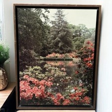Lohman photography coral for sale  Chino Hills