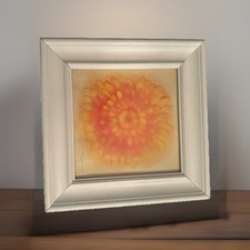 Framed floral wall for sale  Wyncote