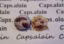 Belles capsules champagne d'occasion  Courcy