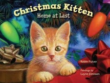 Christmas kitten home for sale  Aurora