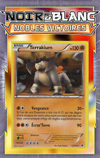 Terrakium holo nb03 d'occasion  Romans-sur-Isère