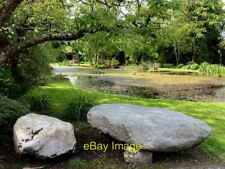 Photo 6x4 pond for sale  FAVERSHAM