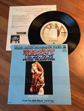 Ai96 peter frampton usato  Conegliano