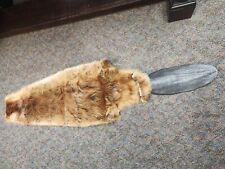 Genuine beaver pelt for sale  Saginaw