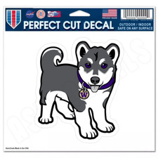 Washington huskies logo for sale  Houston