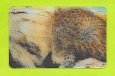 Cora match card d'occasion  Expédié en Belgium